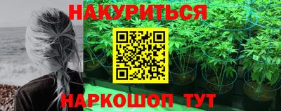 прущие крисы Ставрополь