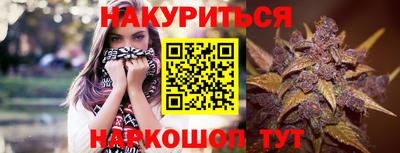 прущие крисы Ставрополь