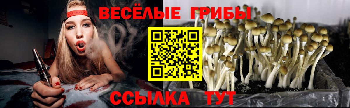 Псилоцибиновые грибы GOLDEN TEACHER Октябрьский